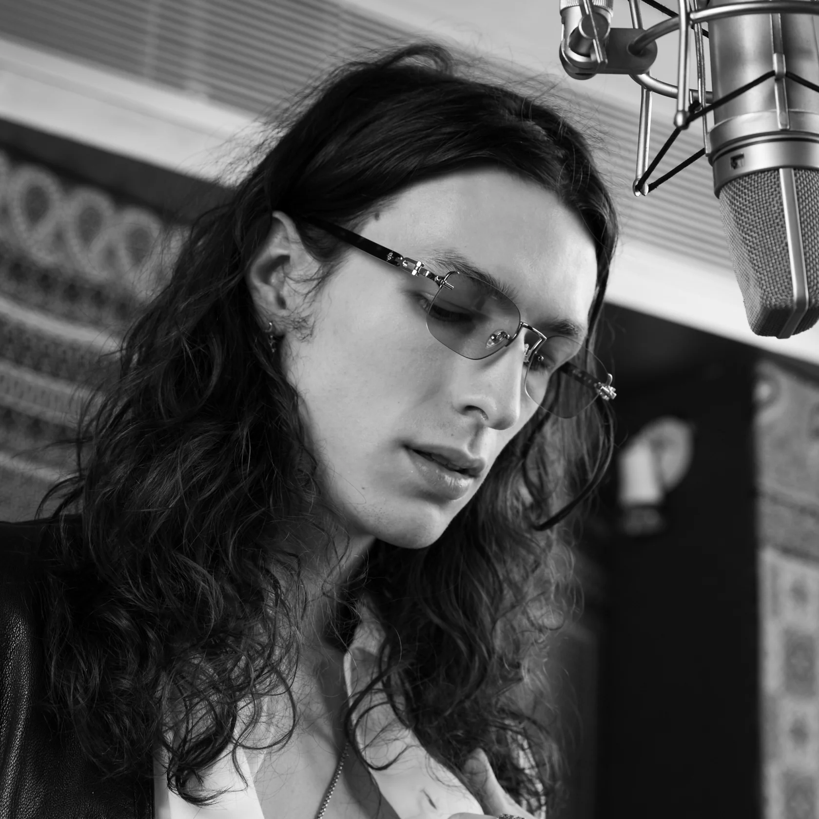 Avenue x Tortoise - Image 3