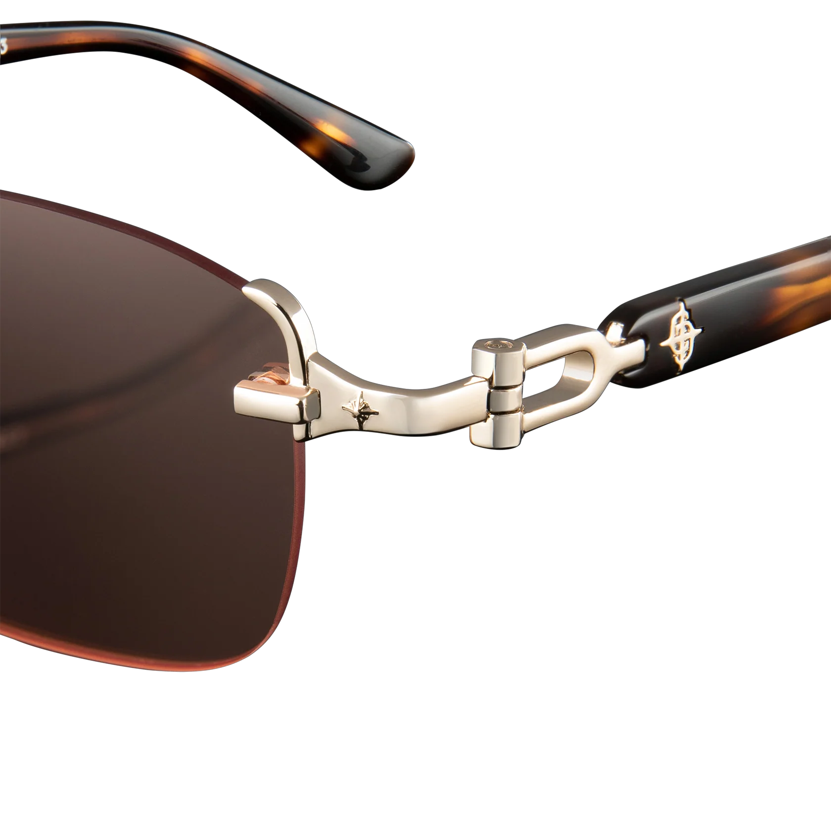 Avenue x Tortoise - Image 4