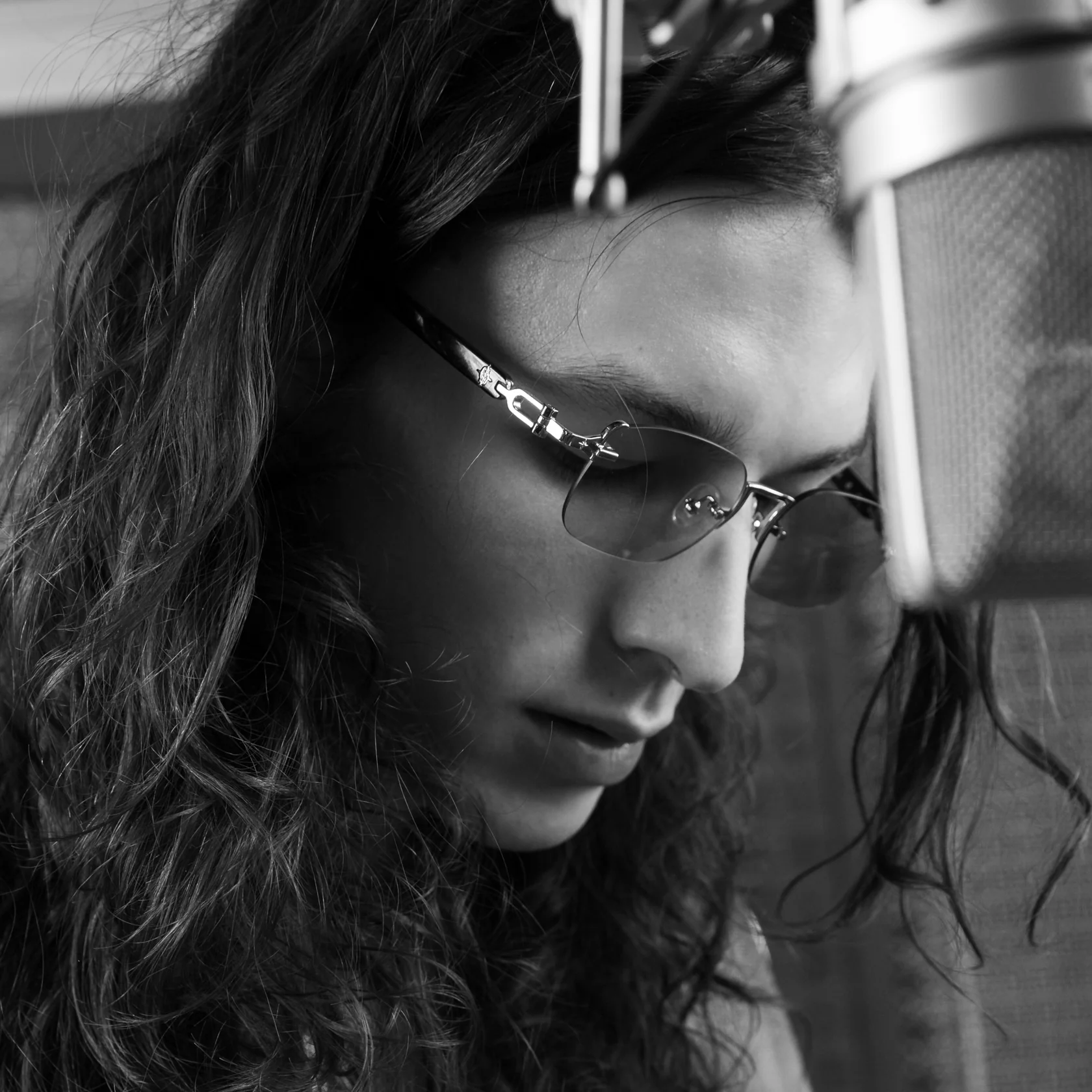 Avenue x Tortoise - Image 6