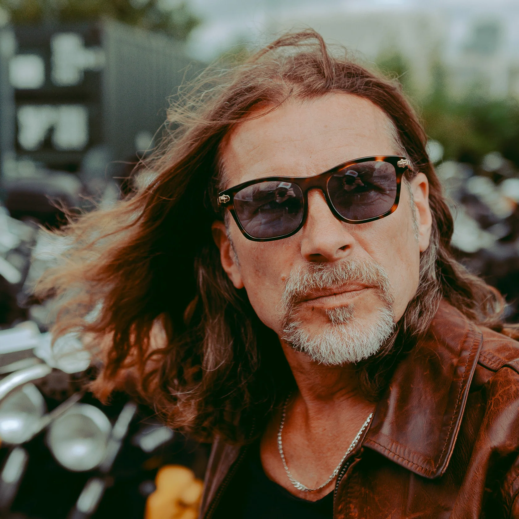 Cruiser x Polished Tortoise - Image 3