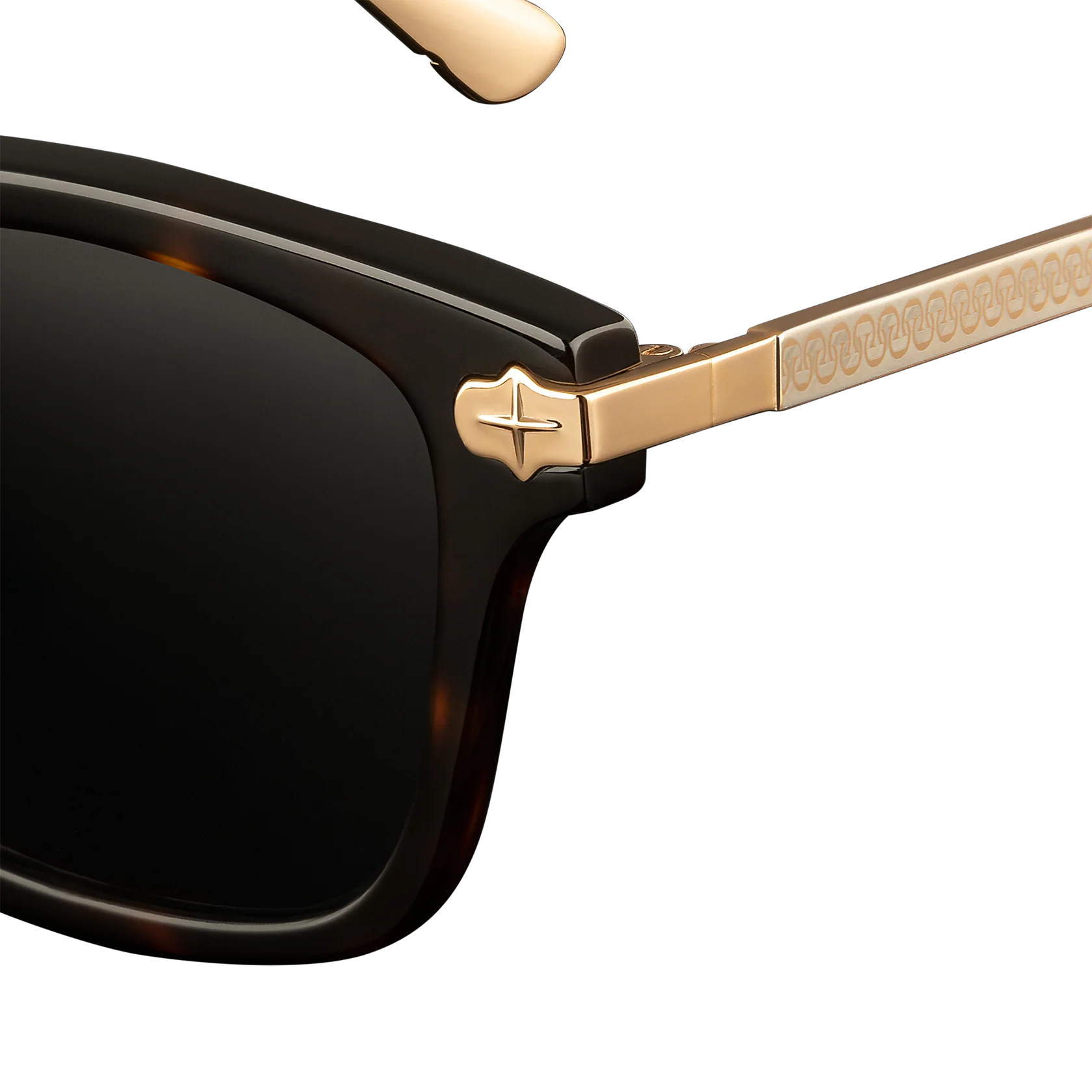 Cruiser x Polished Tortoise - Image 5