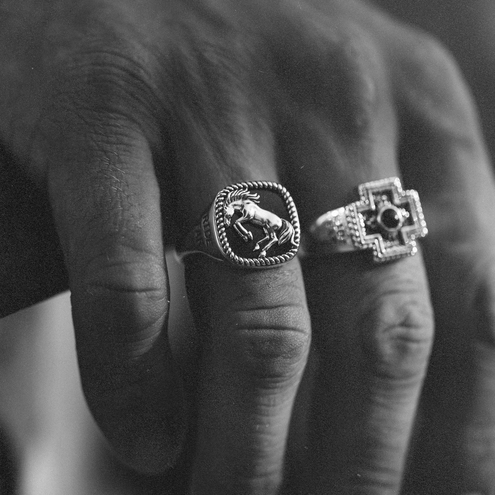 Brave Heart x Diamond Cross Ranch - Image 3