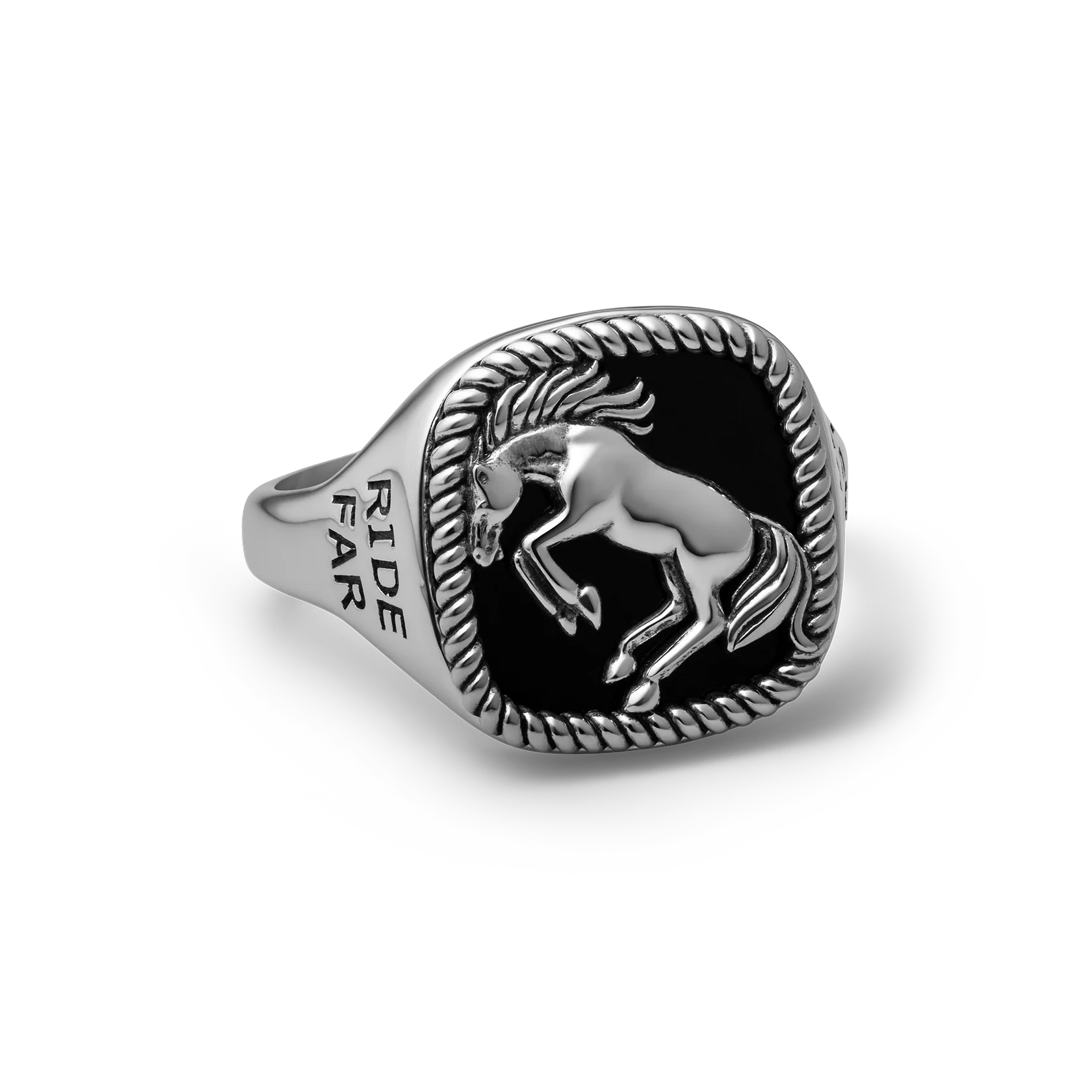 Brave Heart x Diamond Cross Ranch - Image 4