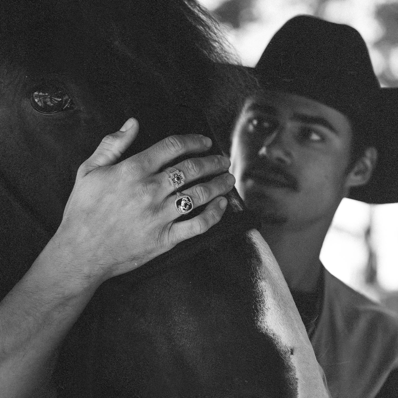 Brave Heart x Diamond Cross Ranch - Image 6