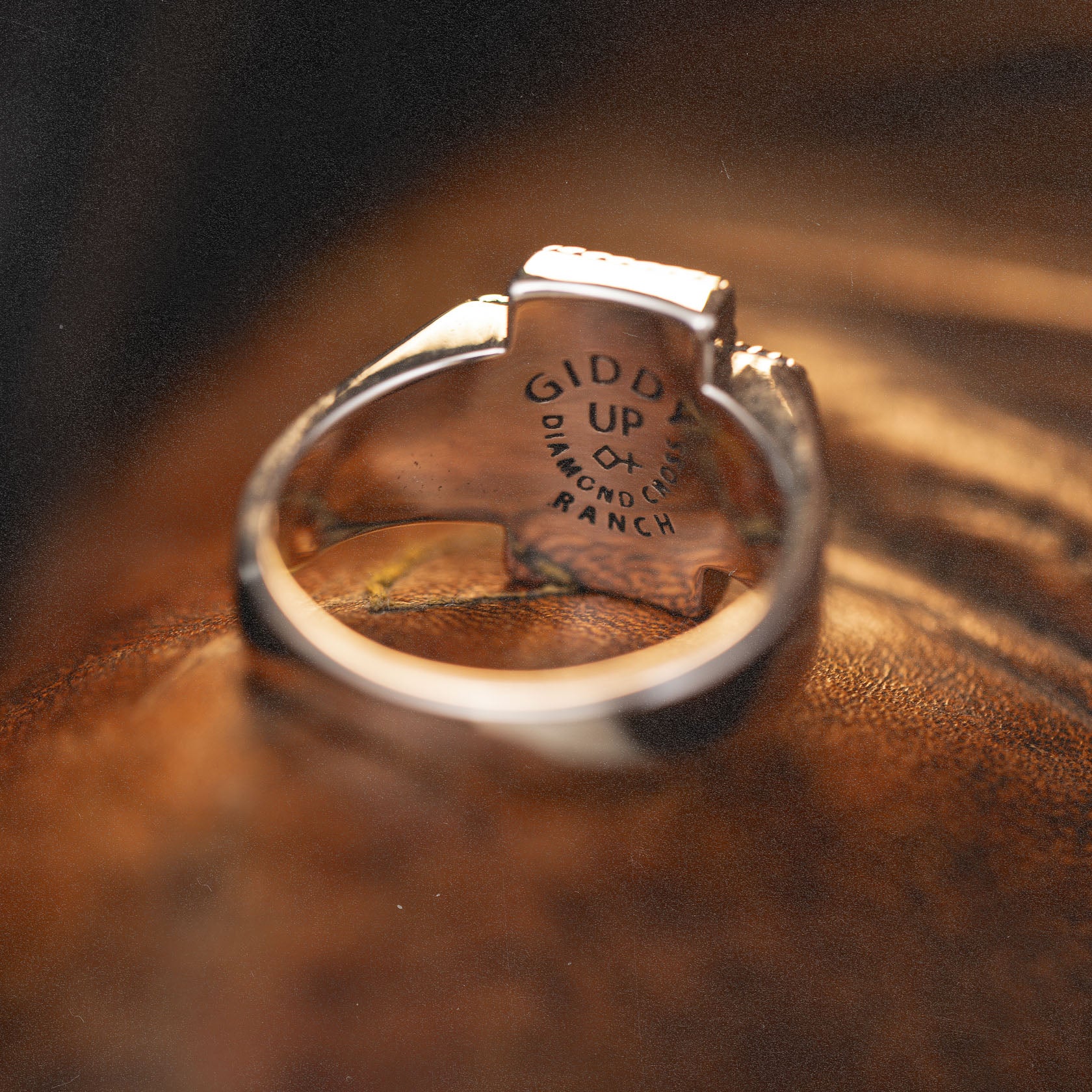 Rodeo x Diamond Cross Ranch - Image 8