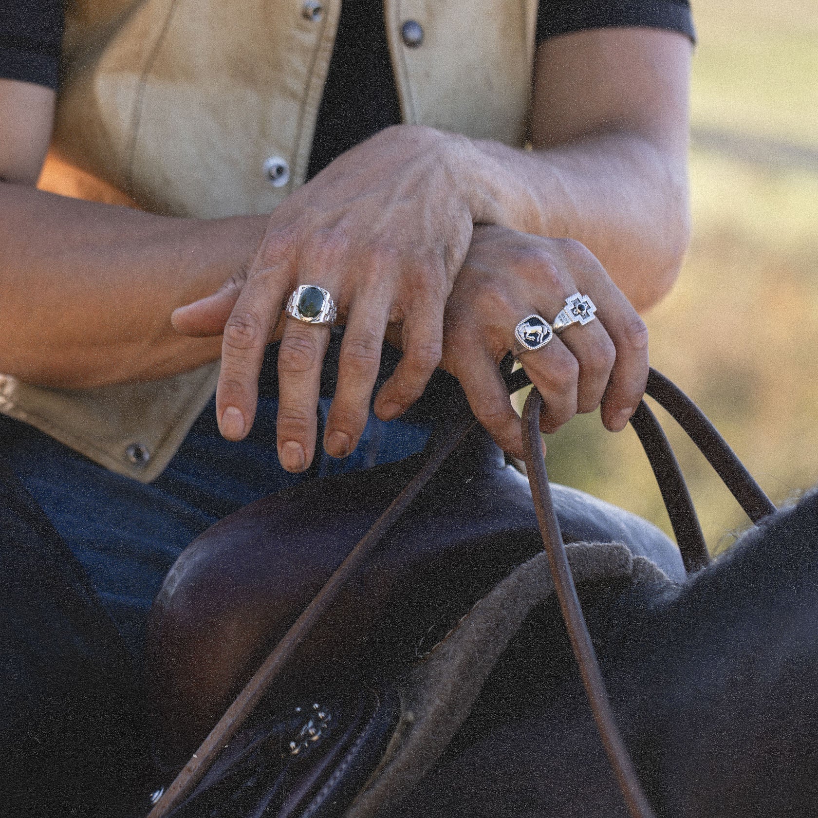 413 x Diamond Cross Ranch x Nephrite - Image 4