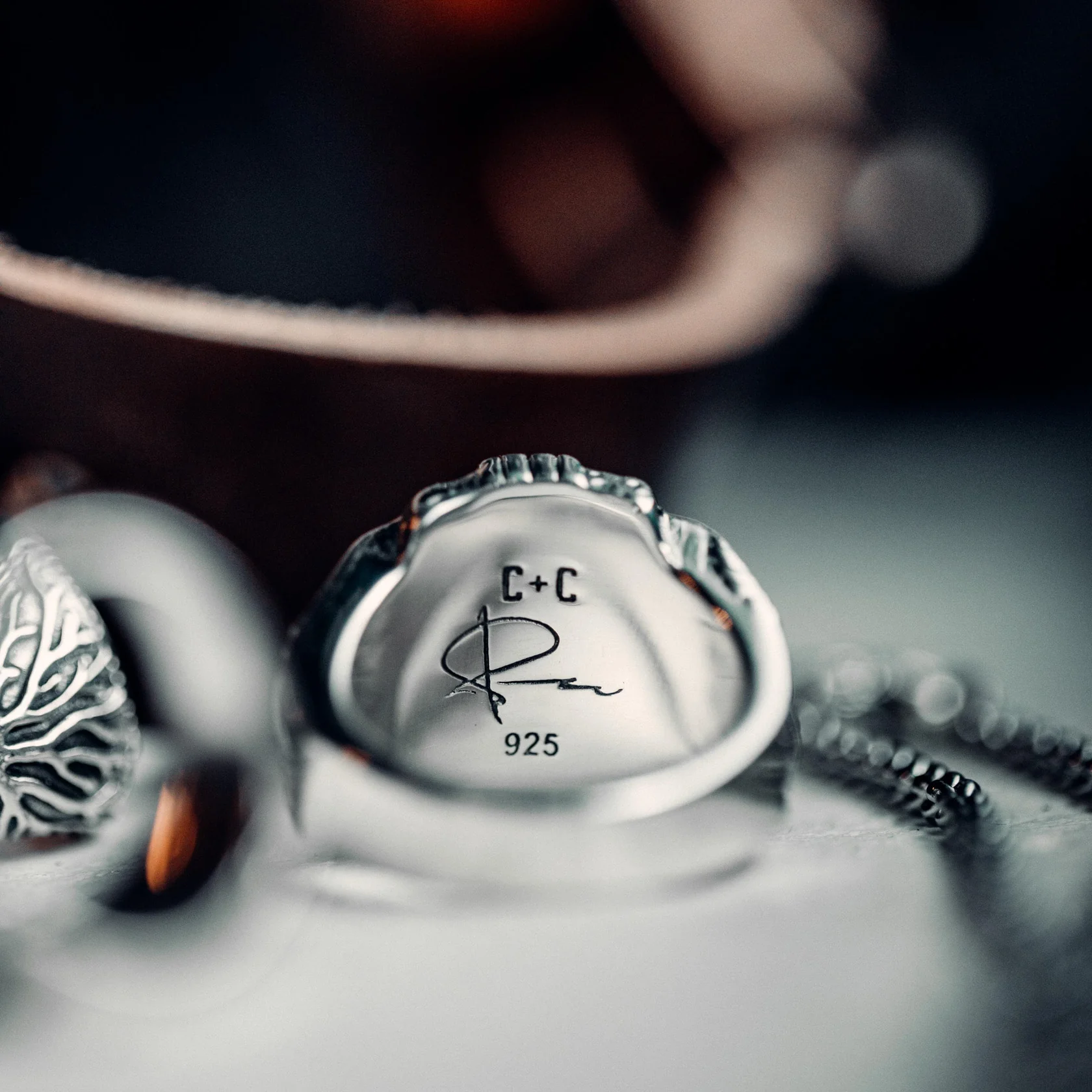 Voyageur x Peter McKinnon - Image 6